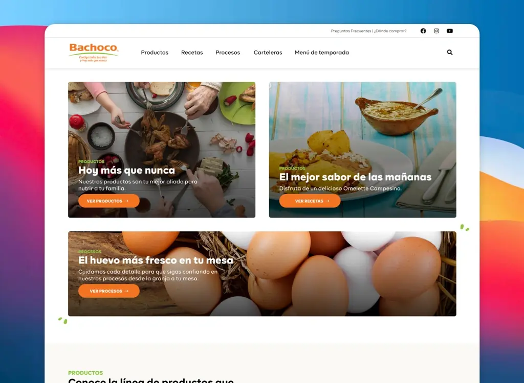 Diseño Bachoco Consumidores