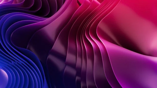 Spiga Studio - Agencia Wordpress 9 Spiga Studio Wordpress Agency